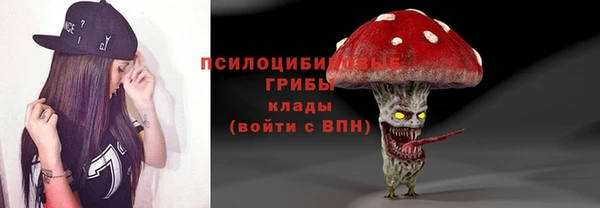 эйфоретик Алексин