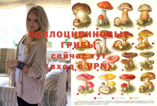 стаф Абаза